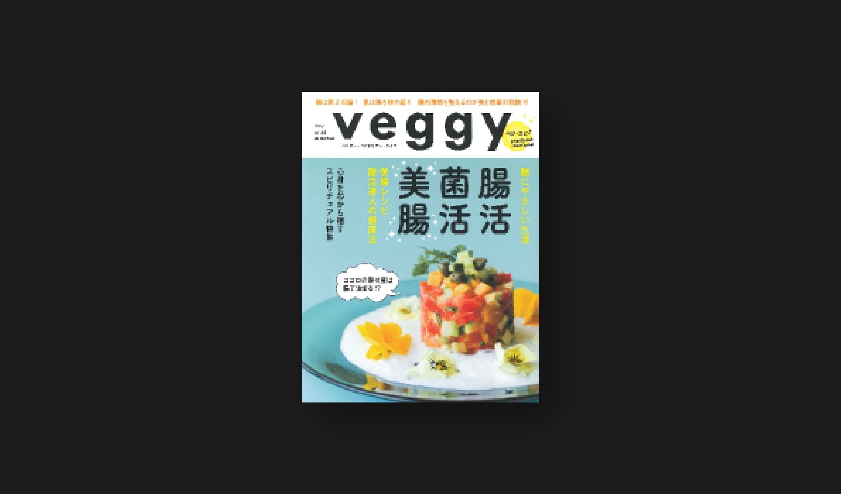 『veggy』2016 vol.46