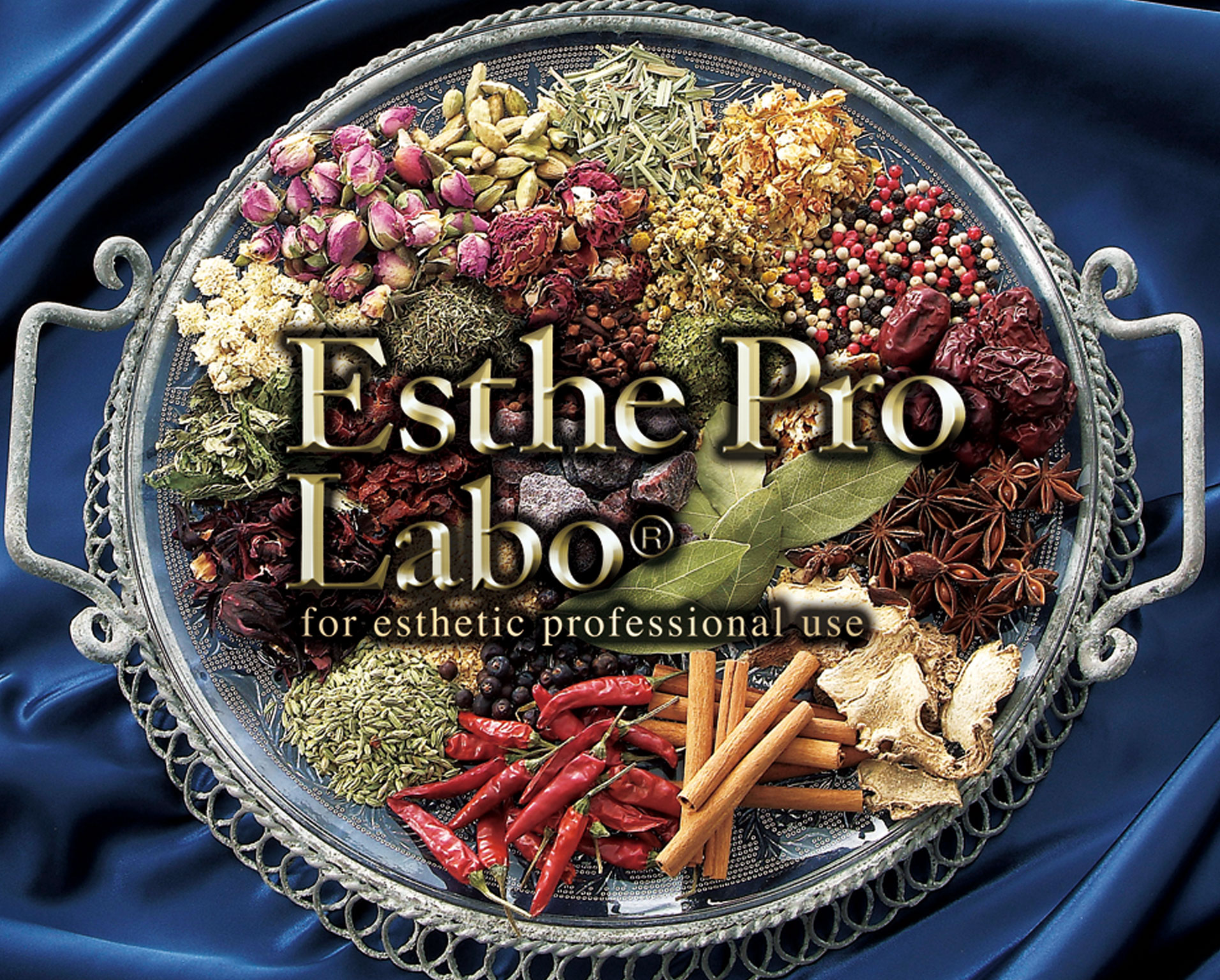Esthe Pro Labo ICHINOMIYA