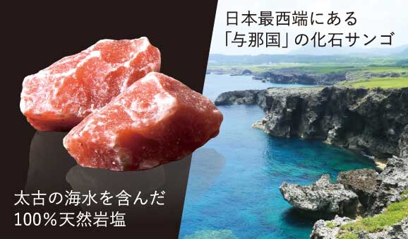 トークセッション中のゲンキングさん